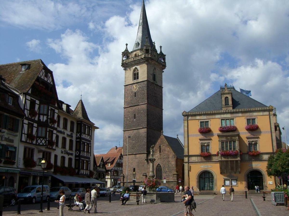 Le Relais D Obernai Apartment Luaran gambar