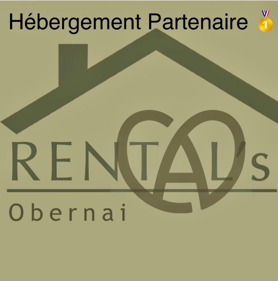 Le Relais D Obernai Apartment Luaran gambar